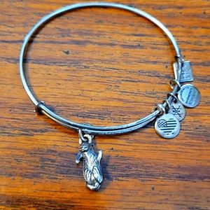 Alex and Ani Bracelet - Otter - Silver